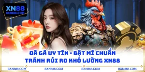 Đá Gà Uy Tín - Bật Mí Chuẩn Tránh Rủi Ro Khó Lường XN88