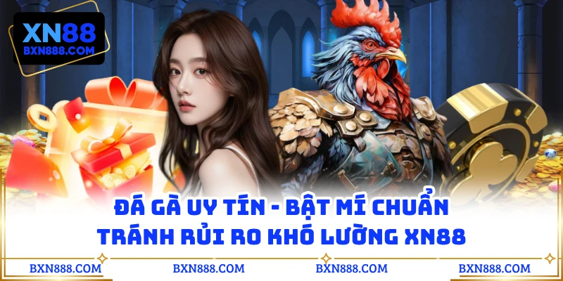 Đá Gà Uy Tín - Bật Mí Chuẩn Tránh Rủi Ro Khó Lường XN88