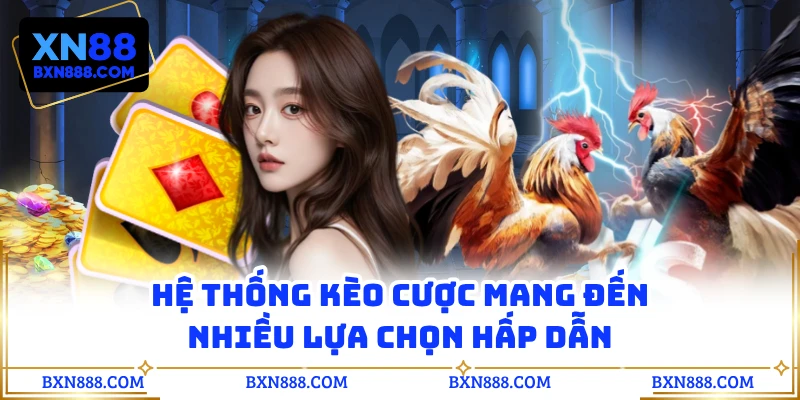 Hệ thống kèo cược mang đến nhiều lựa chọn hấp dẫn